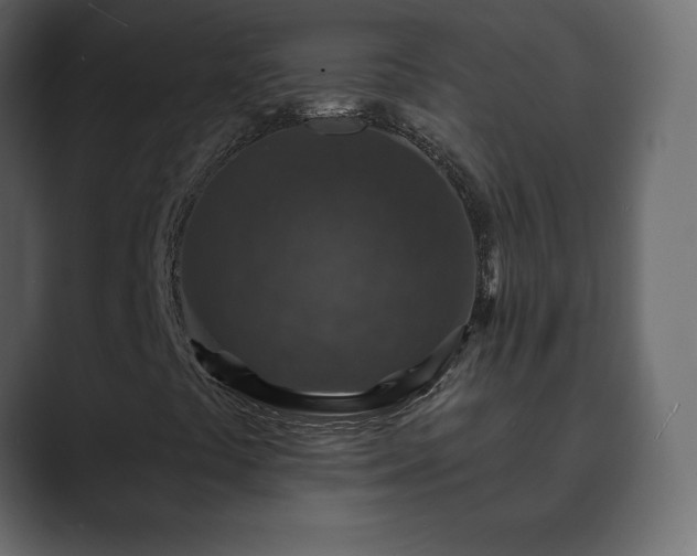 X0000089701441200706281446