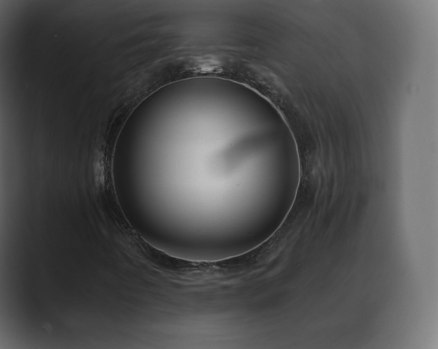 X0000089701442200706281446