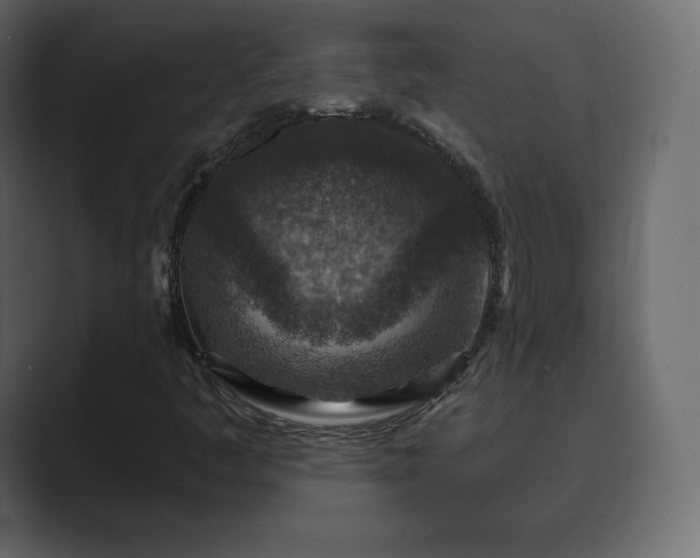 X0000089701445200706281446