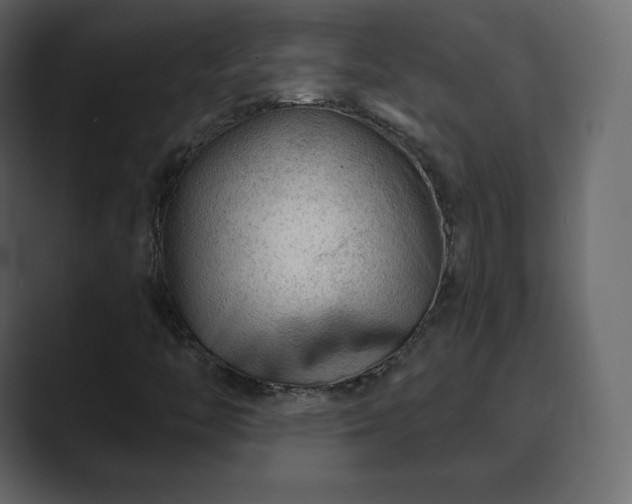 X0000089701446200706281446