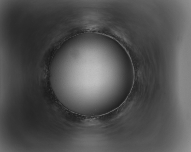 X0000089701447200706281446