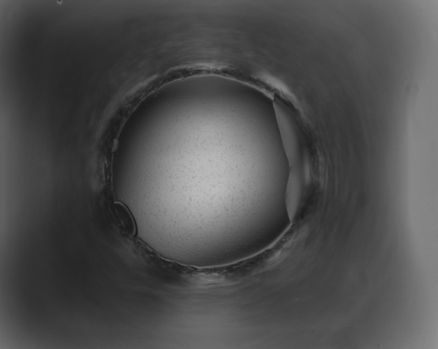 X0000089701448200706281446