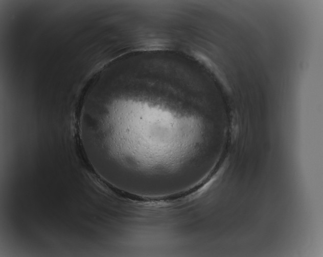 X0000089701449200706281446