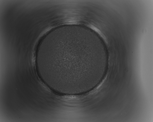 X0000089701450200706281446