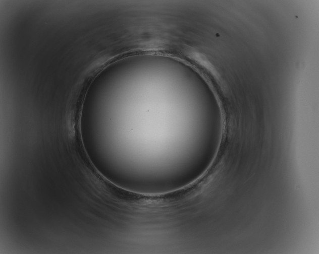 X0000089701451200706281446