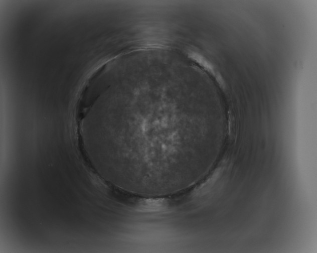 X0000089701453200706281446