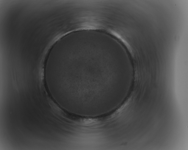 X0000089701459200706281445