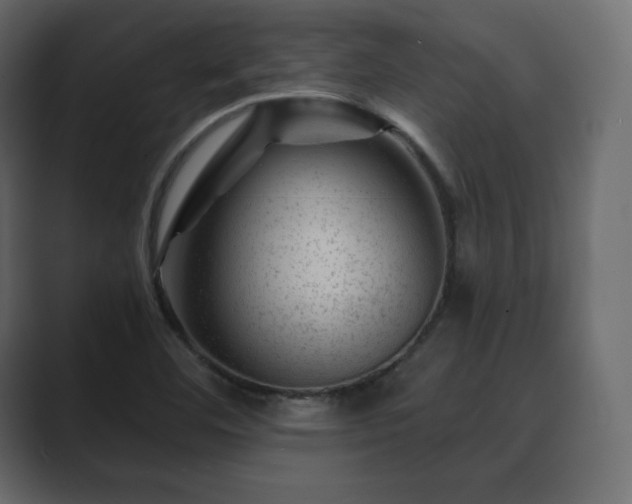 X0000089701460200706281445