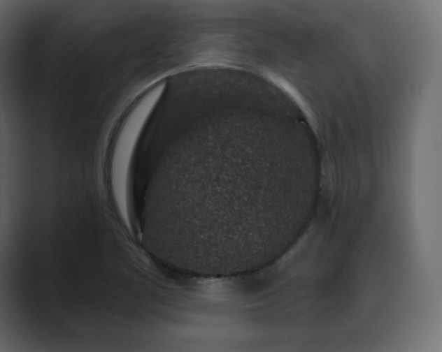 X0000089701461200706281445