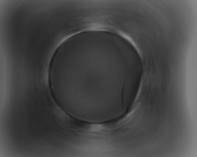 X0000089701463200706281445