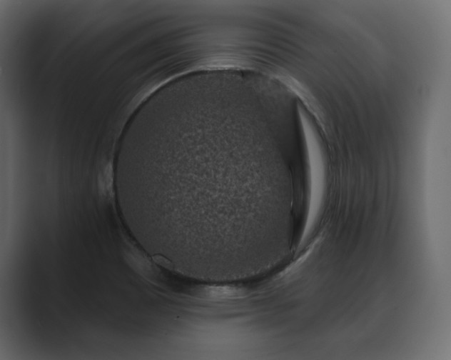 X0000089701465200706281445