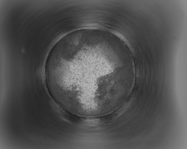 X0000089701466200706281445