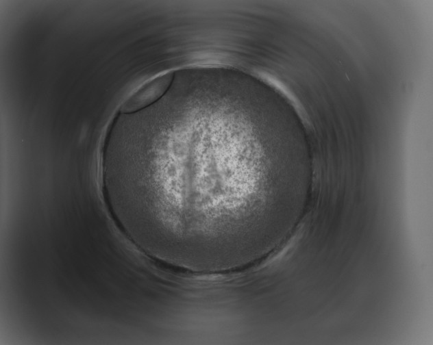 X0000089701467200706281445