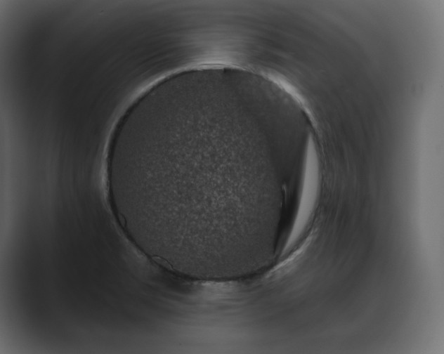 X0000089701469200706281445