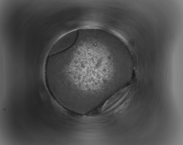 X0000089701471200706281445