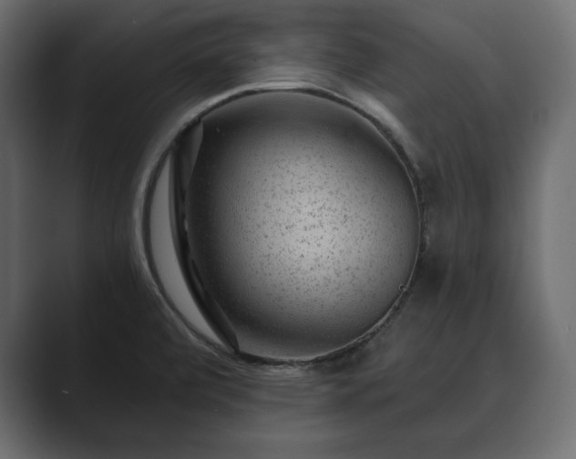 X0000089701472200706281445