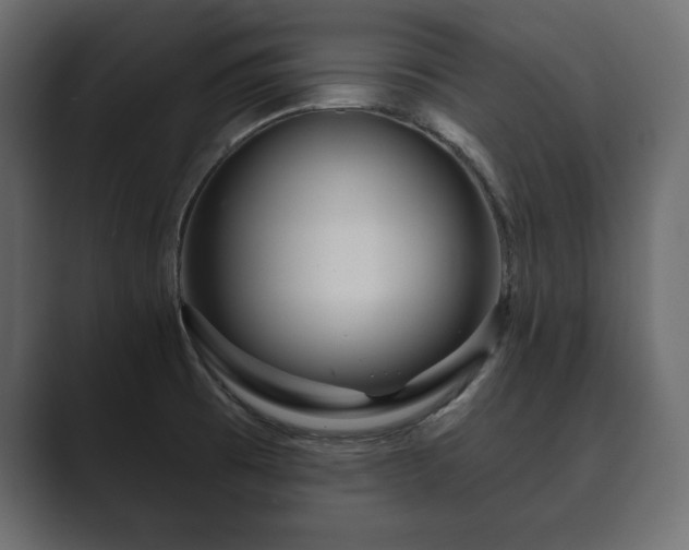 X0000089701473200706281445