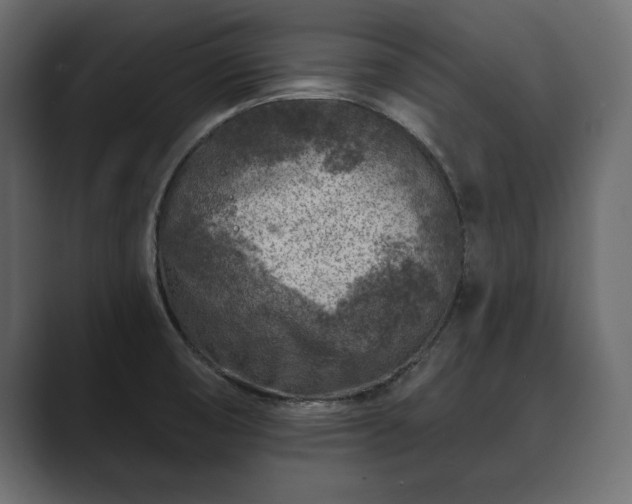 X0000089701474200706281445