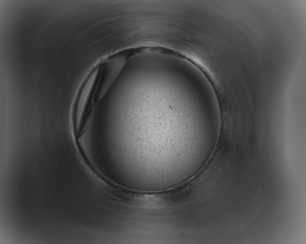 X0000089701476200706281445