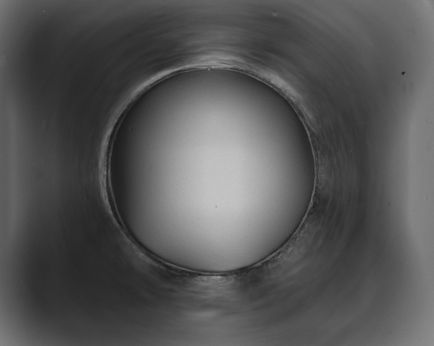 X0000089701478200706281445