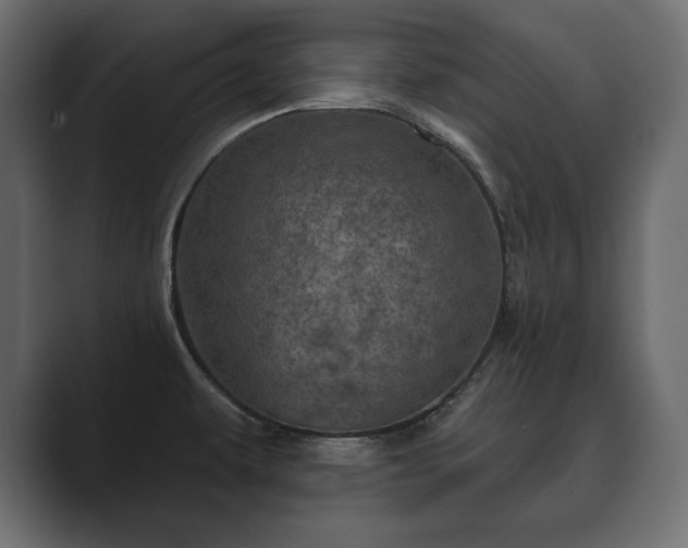 X0000089701479200706281445