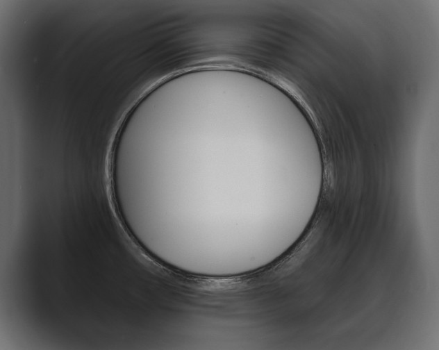 X0000089701482200706281445