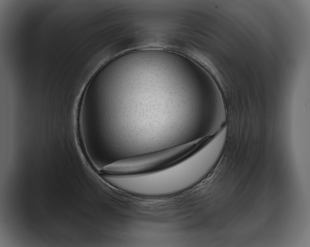 X0000089701483200706281445