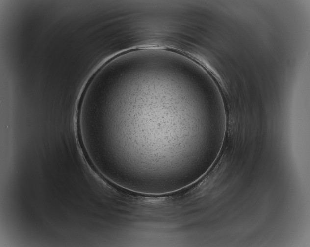 X0000089701484200706281445