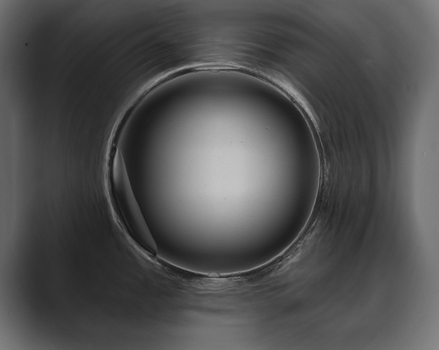 X0000089701485200706281445