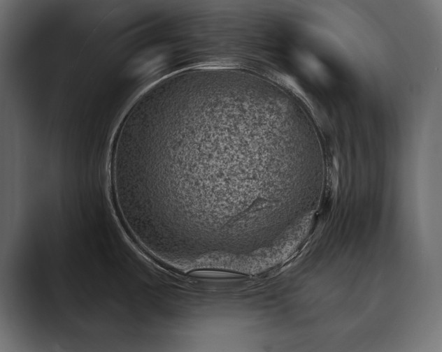 X0000089701487200706281445