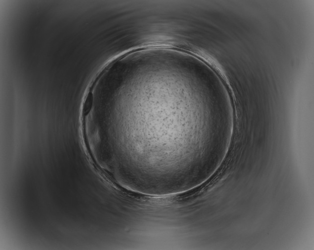 X0000089701488200706281445