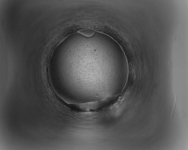 X0000089701489200706281445