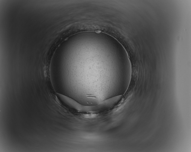 X0000089701490200706281445