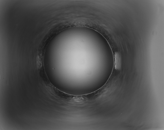 X0000089701491200706281445