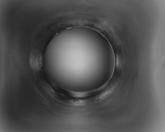 X0000089701492200706281445