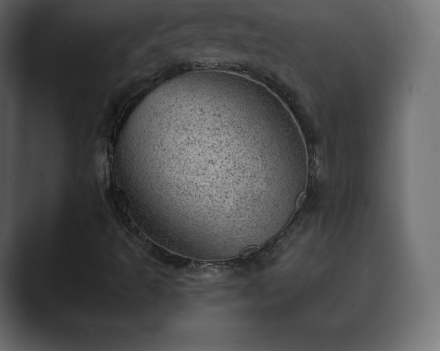 X0000089701493200706281445