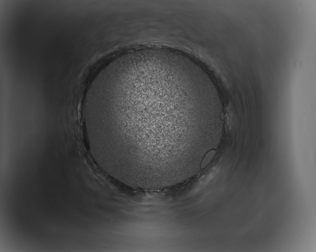 X0000089701494200706281445