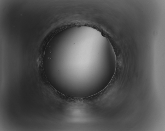 X0000089701495200706281445