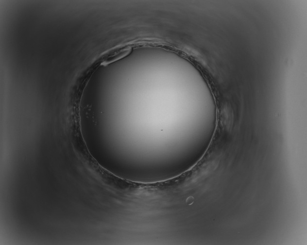 X0000089701496200706281445