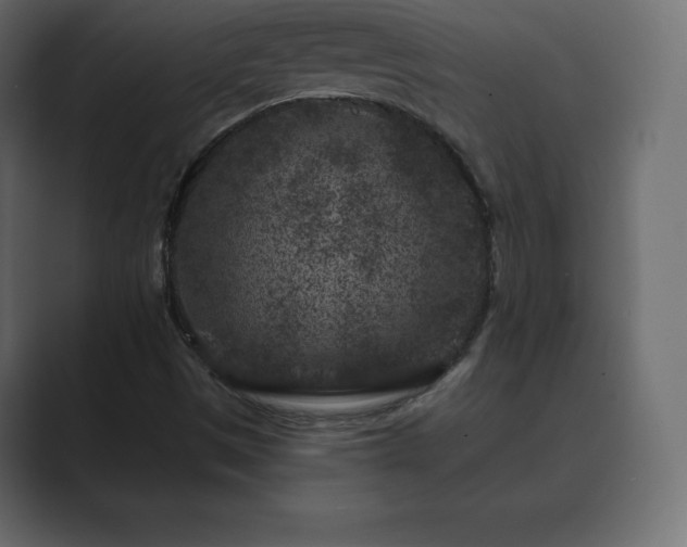 X0000089701497200706281445