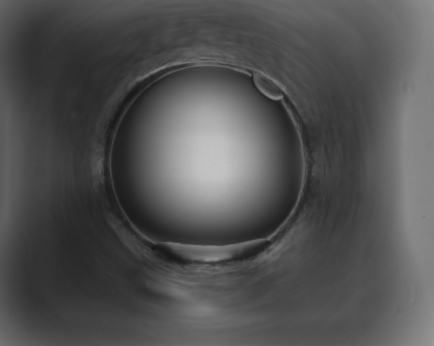 X0000089701499200706281445