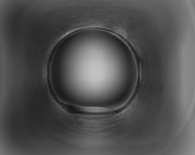 X0000089701500200706281445