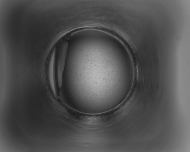 X0000089701501200706281445