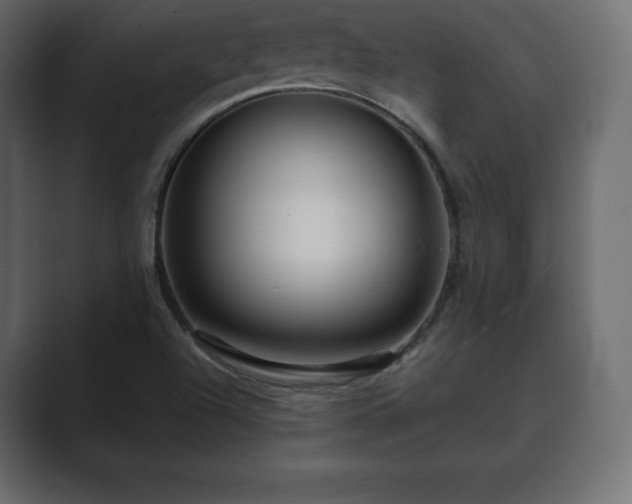 X0000089701504200706281445