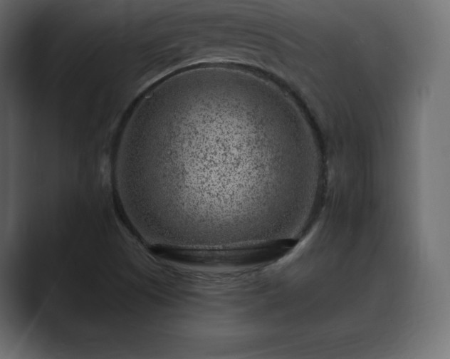 X0000089701505200706281445