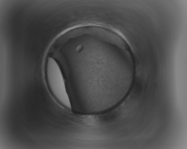 X0000089701508200706281445