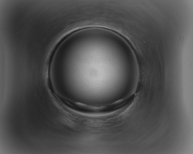 X0000089701511200706281445