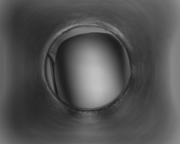 X0000089701512200706281445