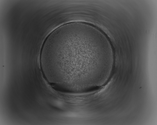 X0000089701513200706281445