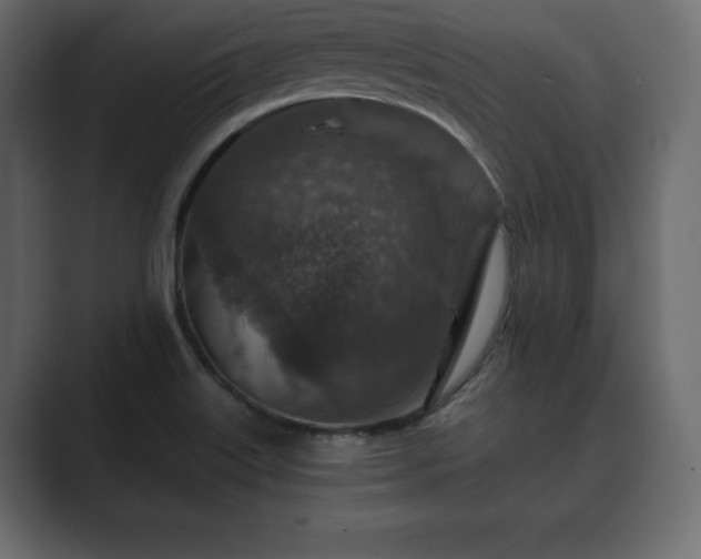 X0000089701515200706281445